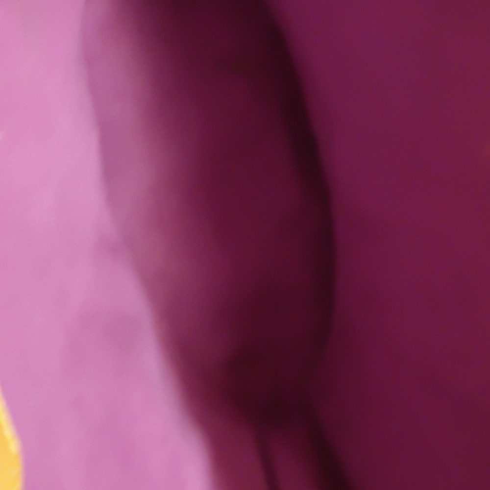 Louis Vuitton Yellow Tote Bag - Picture 16 of 16